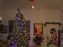 Christmas Decorations