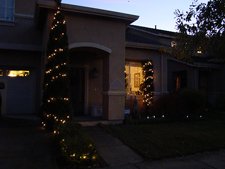 Christmas Decorations
