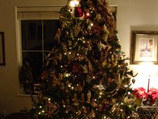 tree almost done