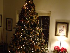 tree almost done