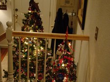 Hunter's tree & Ryder's tree