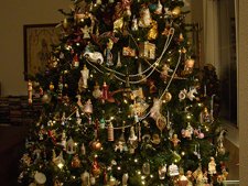 big tree