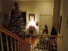 all 3 trees