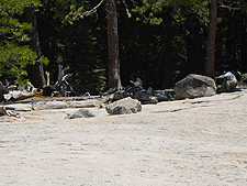 Heidi takes a lunch break.