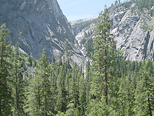 Along the vernal trail.